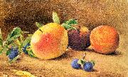 Hill, John William Study of Fruit France oil painting reproduction